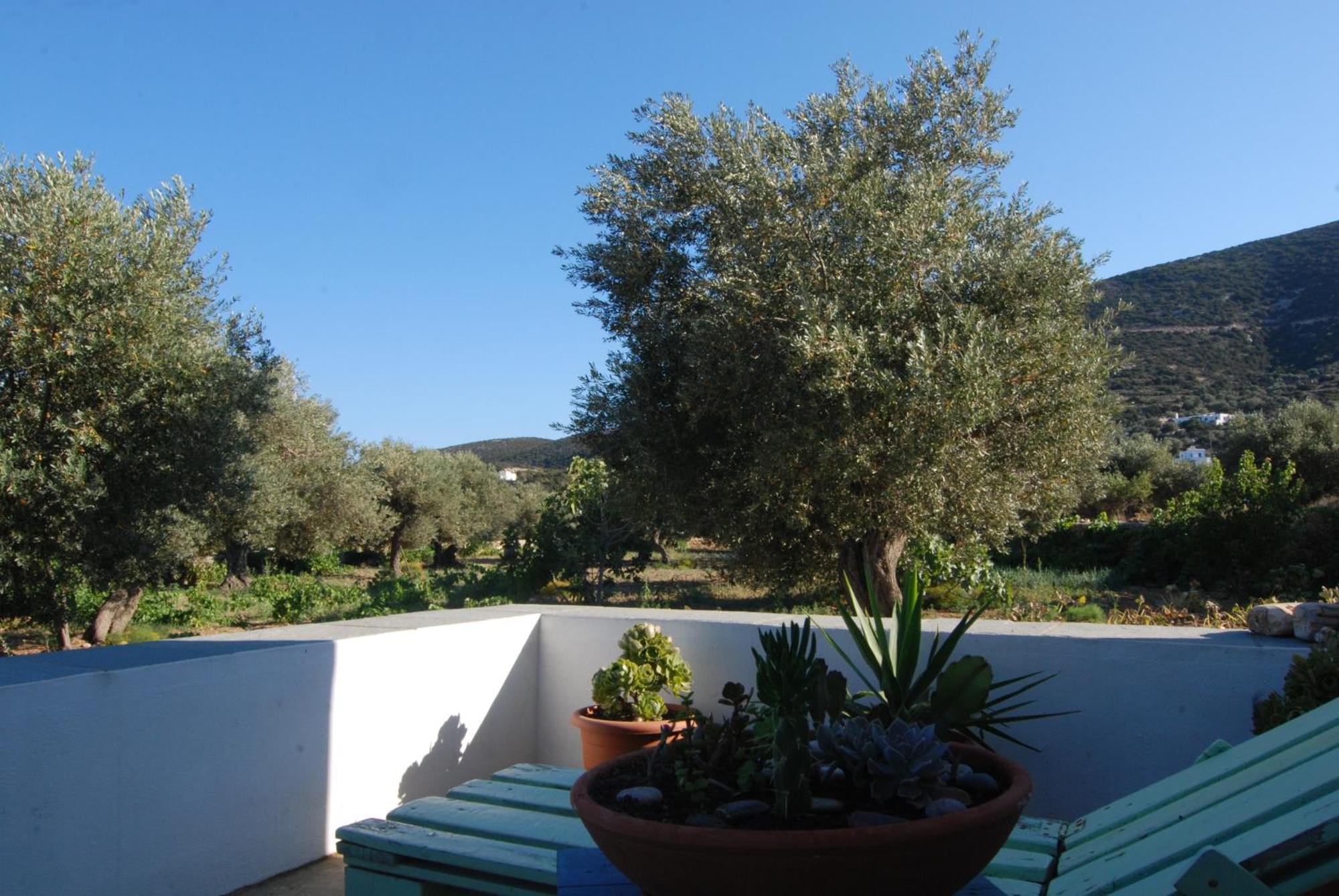 Villa Perivoli Platis Gialos  Zewnętrze zdjęcie